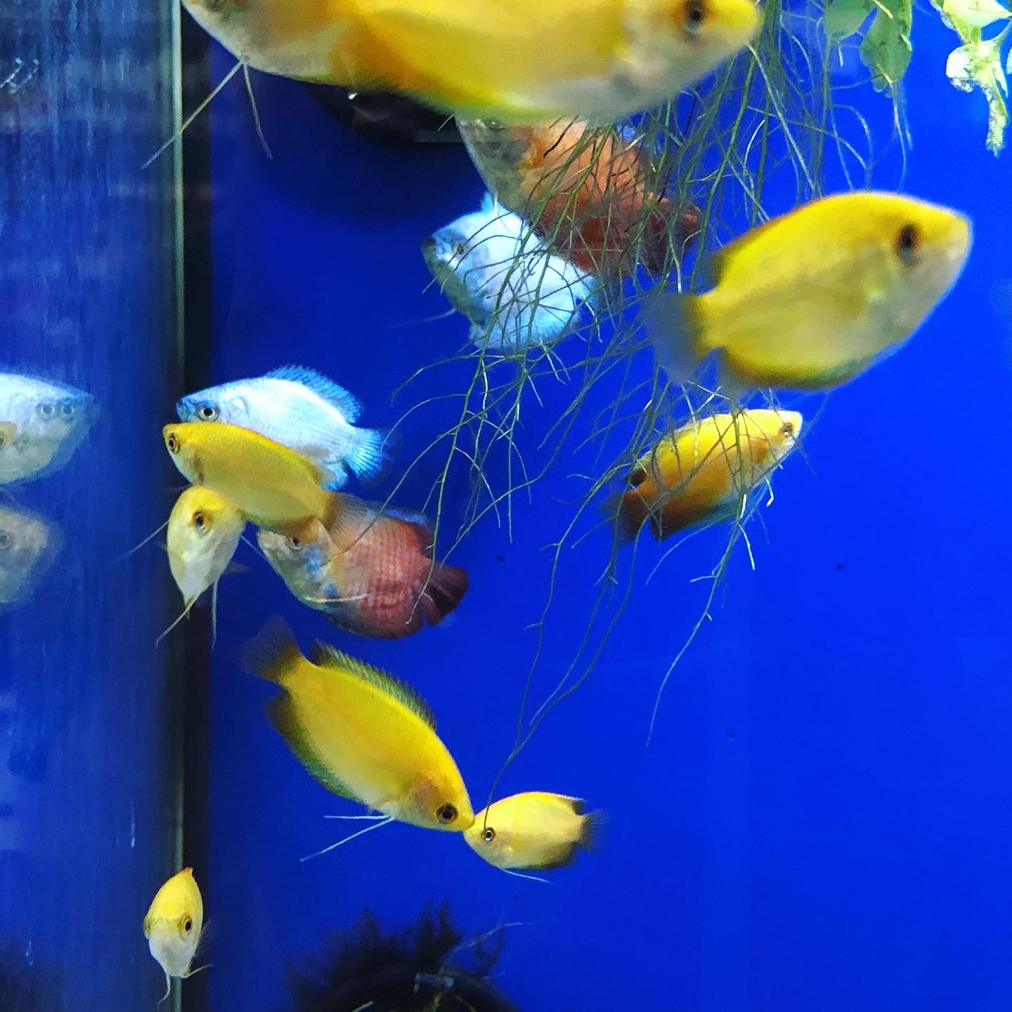 b7335996 62a4 48af 826b 6281867c1cb4