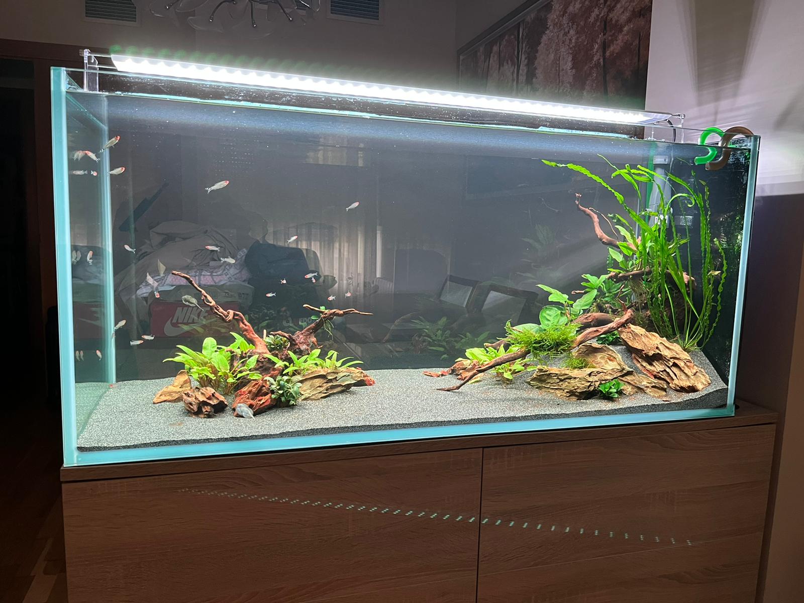 whatsapp image 2026 03 17 at 14.00.56