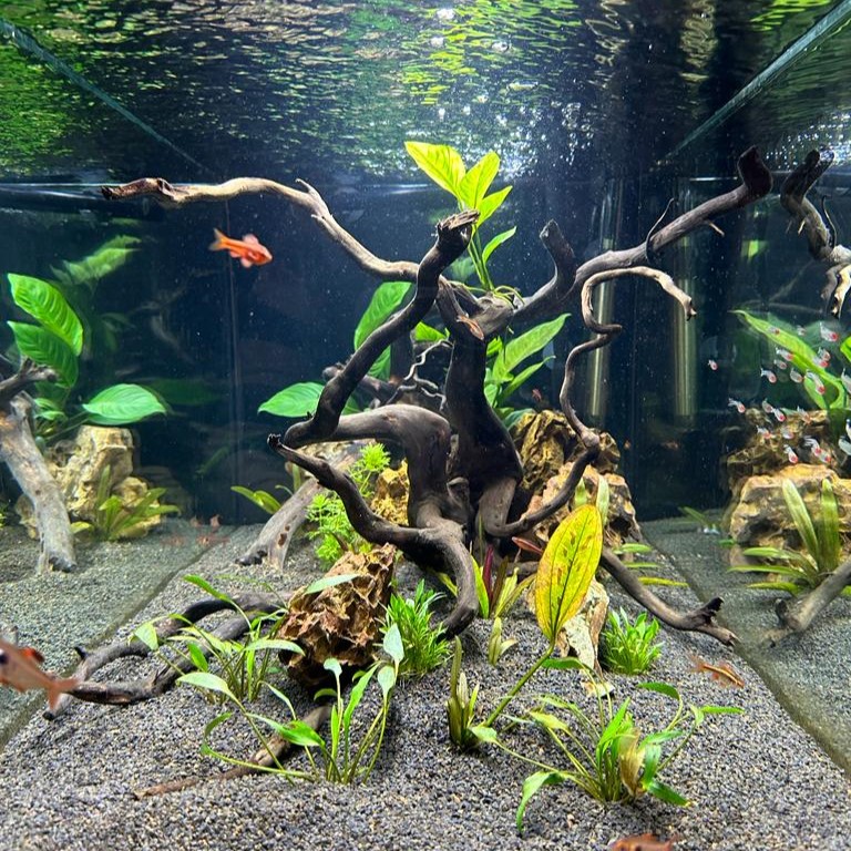 79cf8e10 6adc 4694 a9aa 6b5752d7c01f