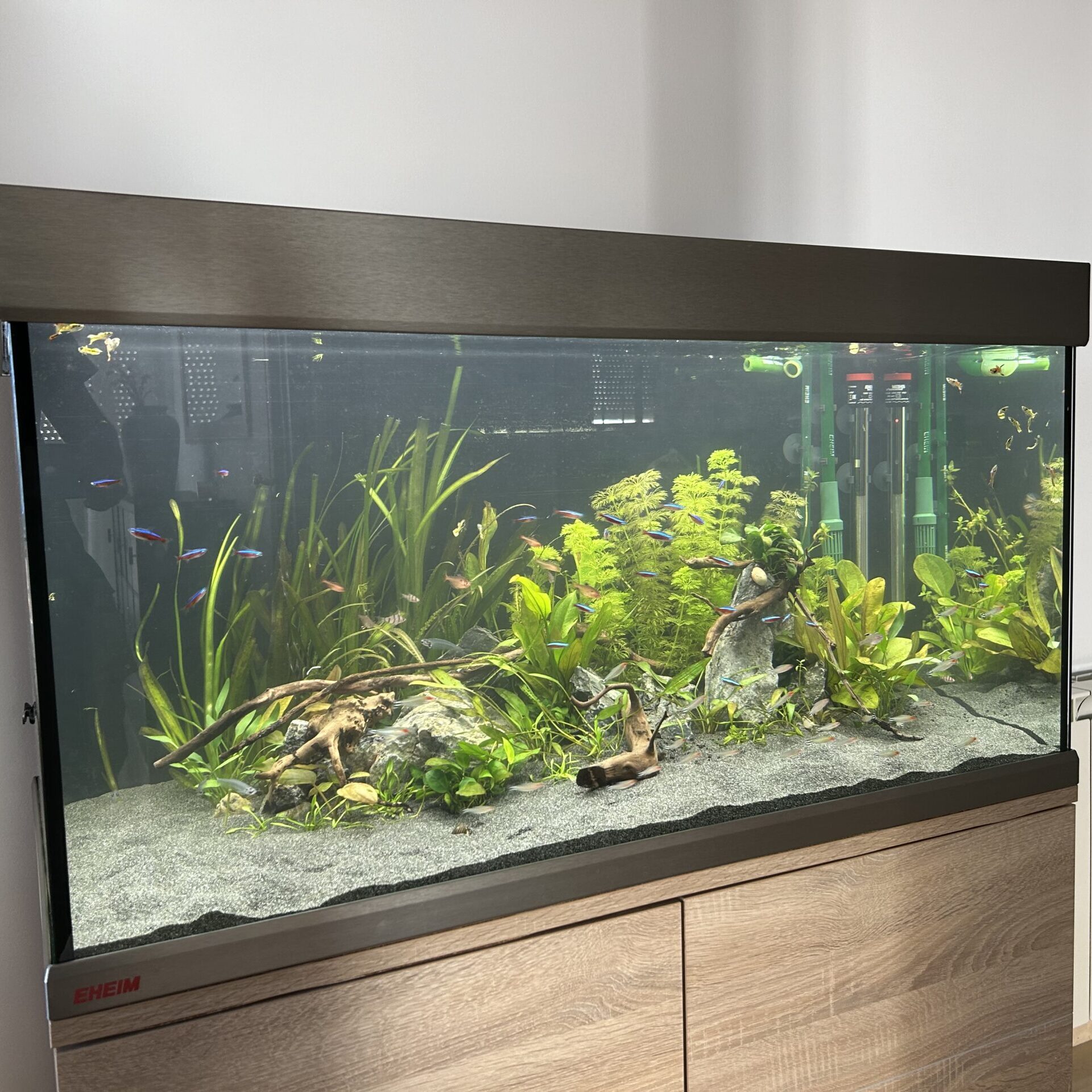 acuarios verdemar proyecto eheim