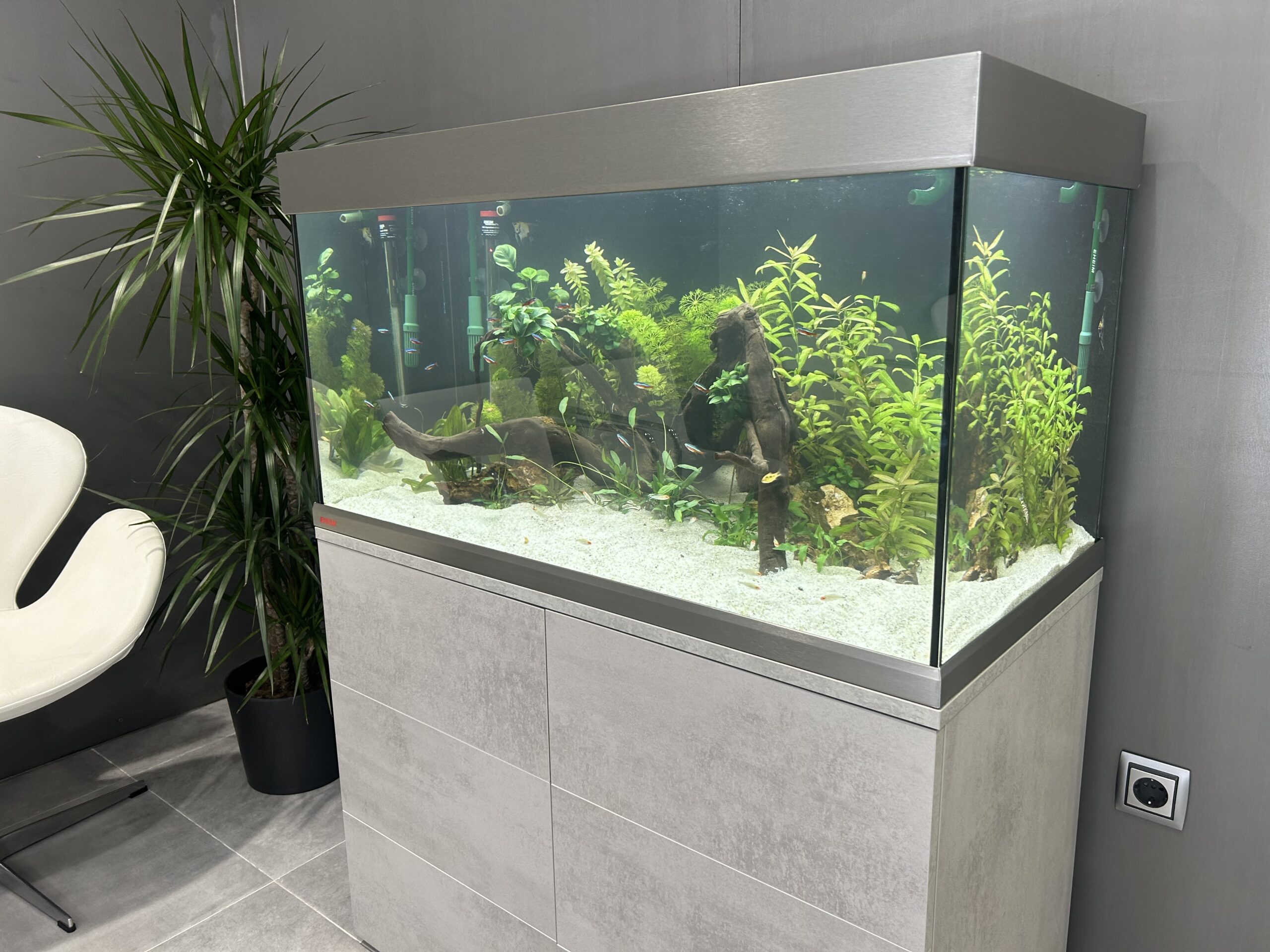 acuarios verdemar proyecto